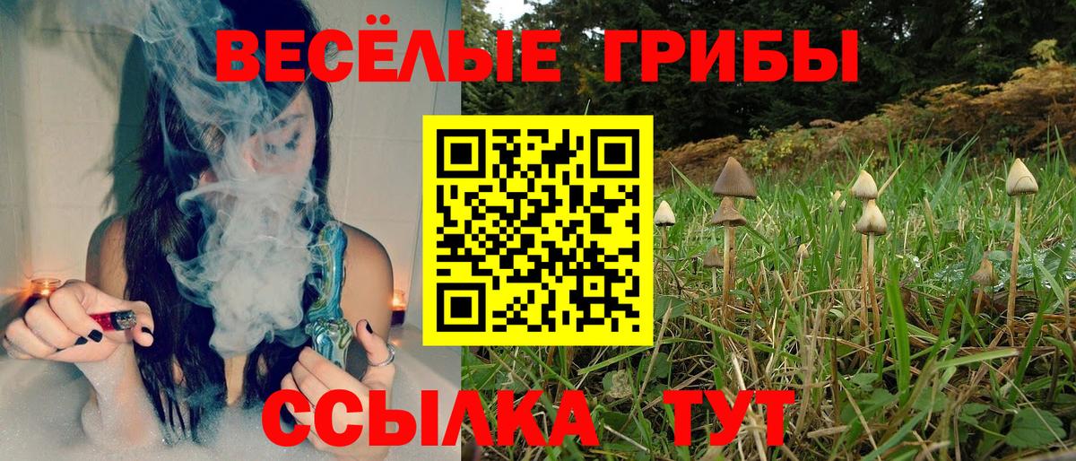 Красный Сулин  Галлюциногенные грибы мухоморы  Вход с VPN 